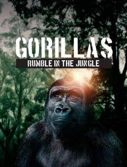 فيلم Gorillas Rumble In The Jungle 2020 مترجم