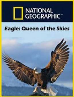 فيلم Eagle - Queen of The Skies 2014 مترجم