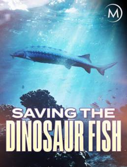 فيلم Saving the Dinosaur Fish 2020 مترجم