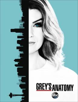 مسلسل Grey's Anatomy الموسم 13