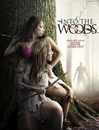 مشاهدة فيلم Into The Woods 2012